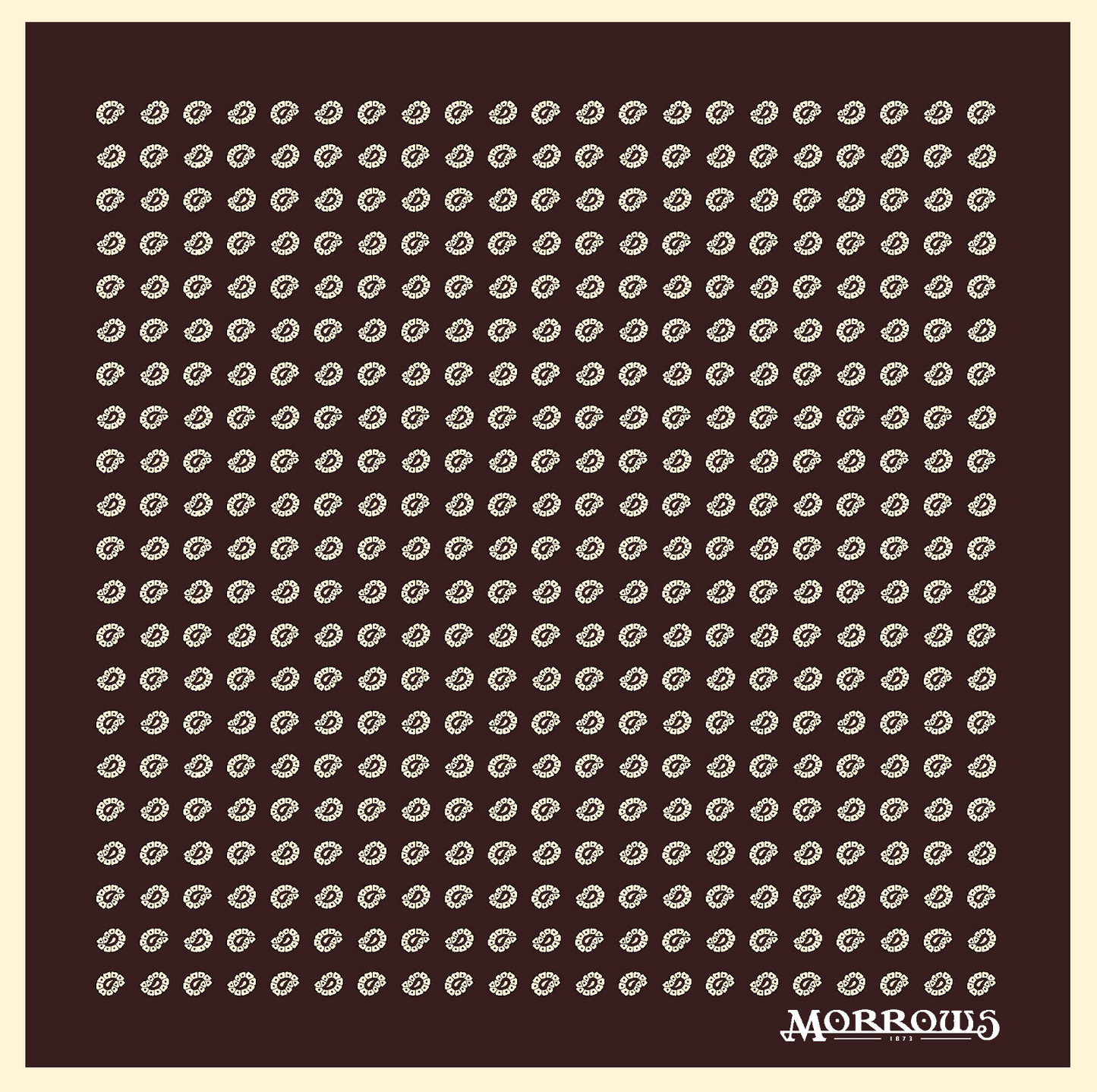 Oldham's Paisley Pocket Square Pre-Order