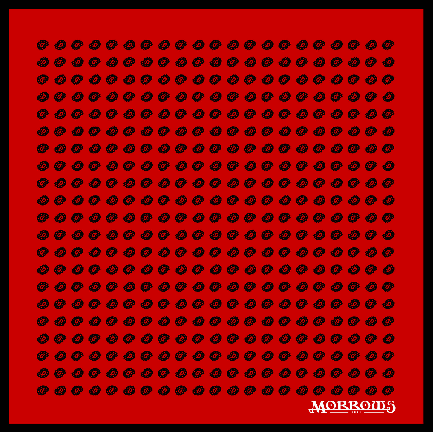 Moser's Paisley Pocket Square Pre-Order