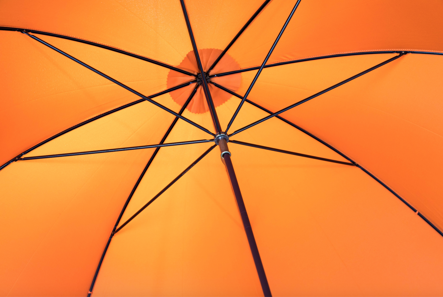 Orange Umbrella