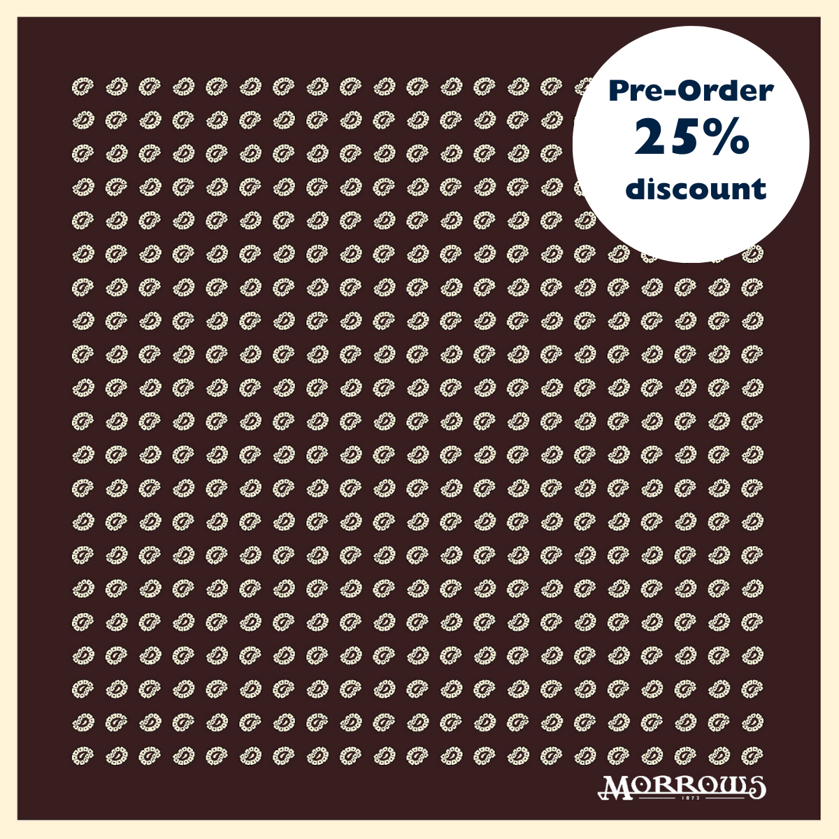 Oldham's Paisley Pocket Square Pre-Order