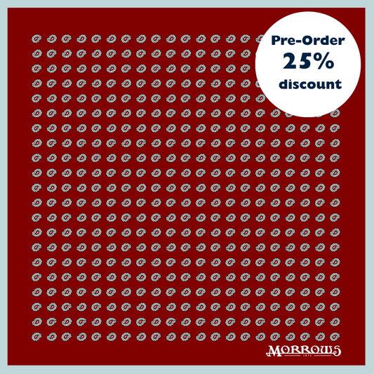 Severn Hill Paisley Pocket Square Pre-Order