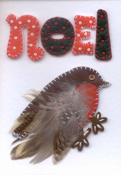 Noel & Robin Christmas Card