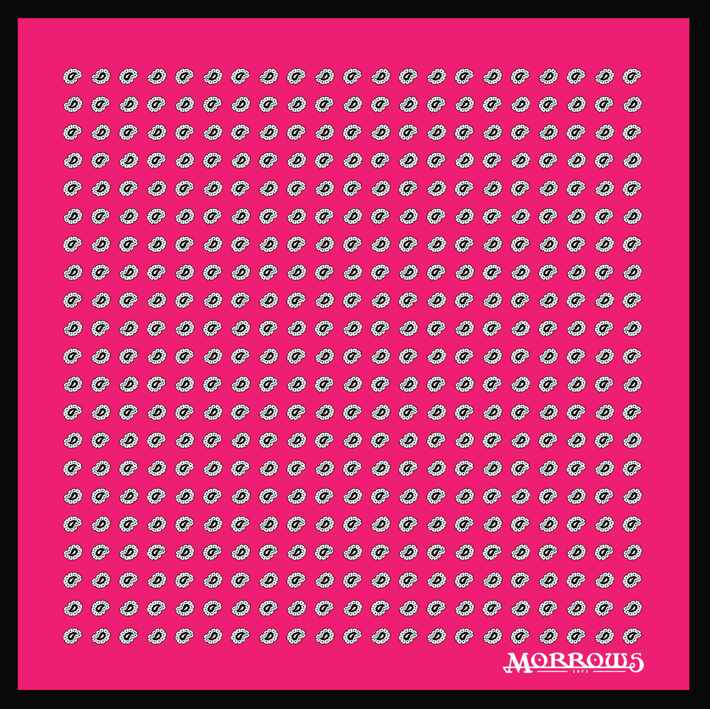 School House Paisley Pocket Square Pre-Order