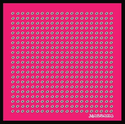 School House Paisley Pocket Square Pre-Order