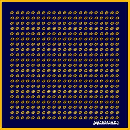 Ridgemount Paisley Pocket Square Pre-Order