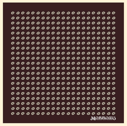 Oldham's Paisley Pocket Square Pre-Order