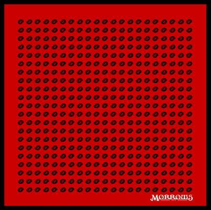 Moser's Paisley Pocket Square Pre-Order