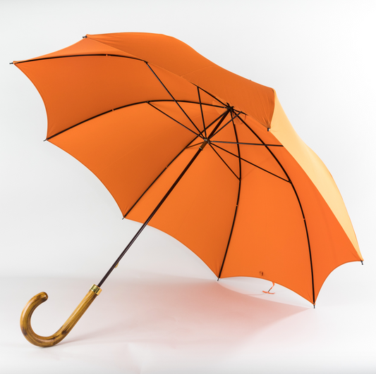 Orange Umbrella