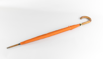 Orange Umbrella