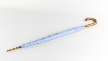 Pale Blue Umbrella