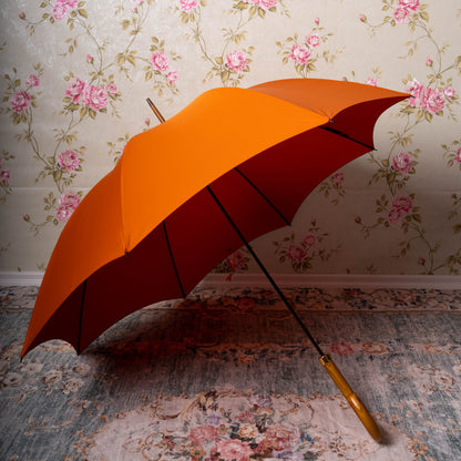 Orange Umbrella