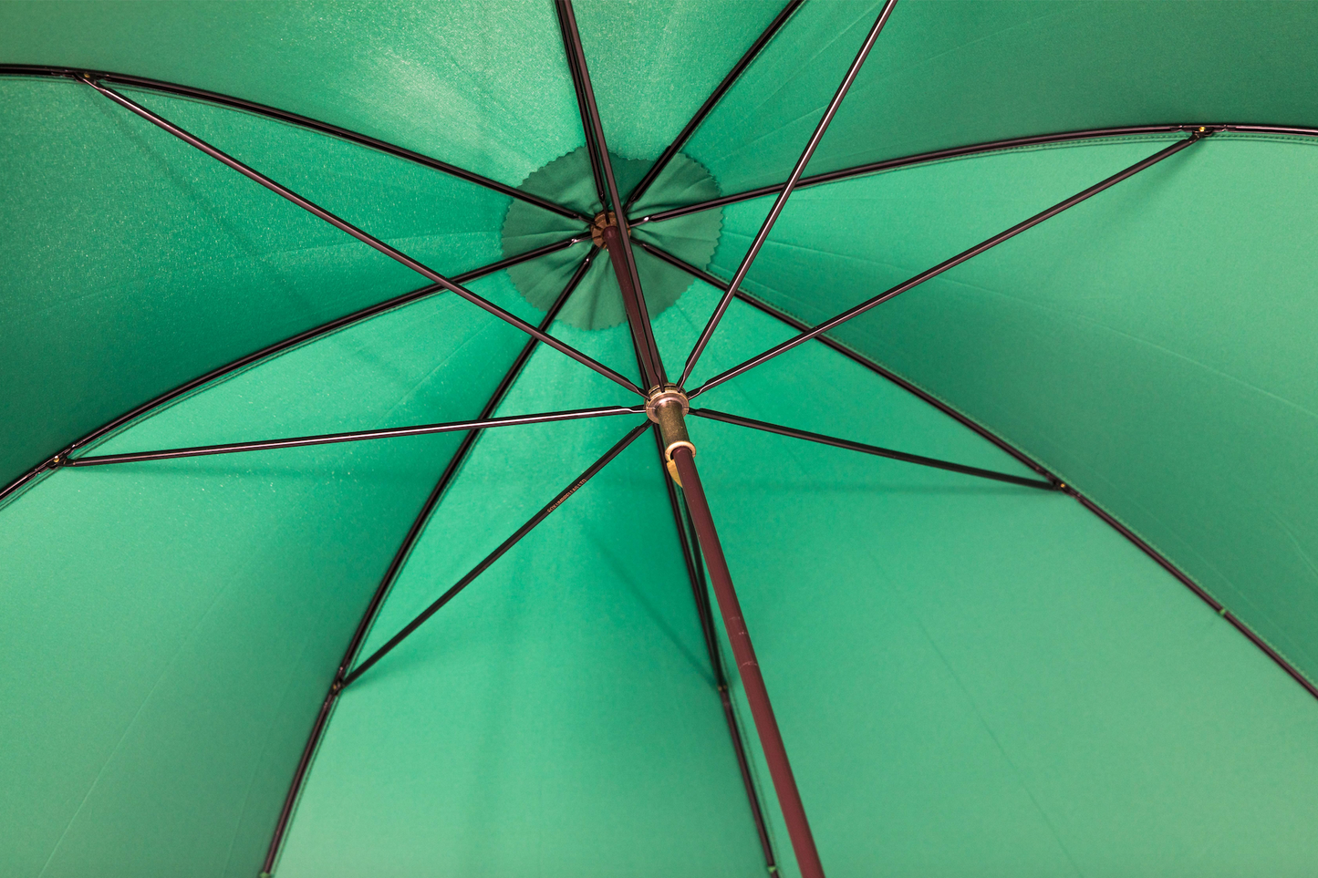 Emerald Umbrella