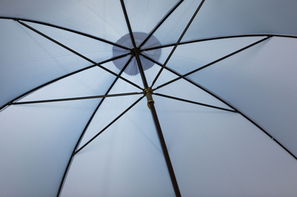 Pale Blue Umbrella