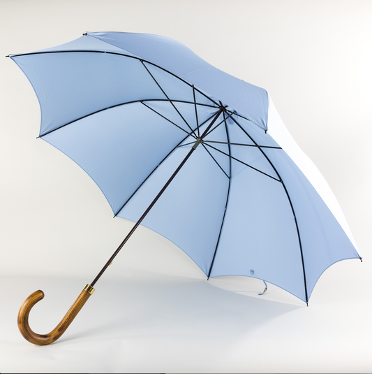 Pale Blue Umbrella